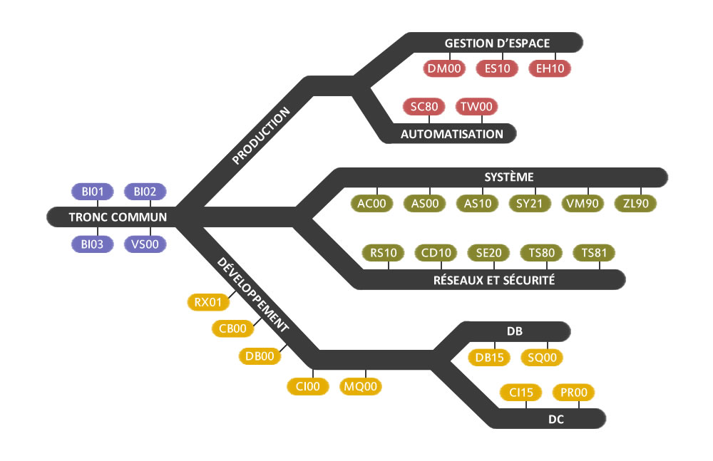 Des parcours de formations syst&egrave;mes IBM sp&eacute;cifiques